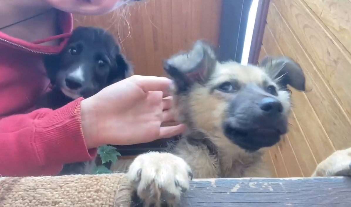 � ����-��� ����������� �����, ������� �������� ������� � ������� ������� 