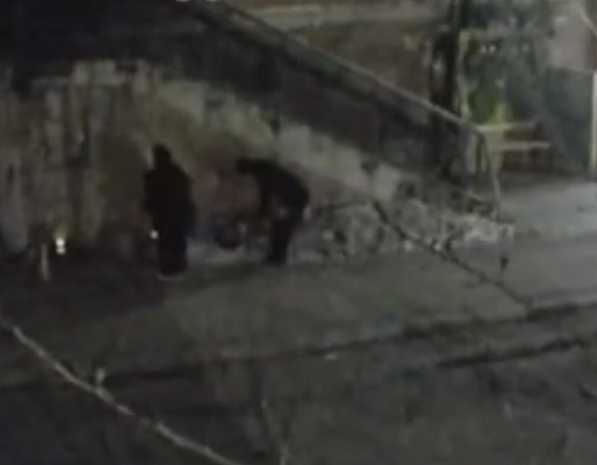 Малолетние вандалы в Бурятии попались на камеру Малолетние вандалы в Бурятии попались на камеру