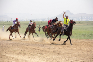 В Бурятии проверяют лошадей участвующих в скачках