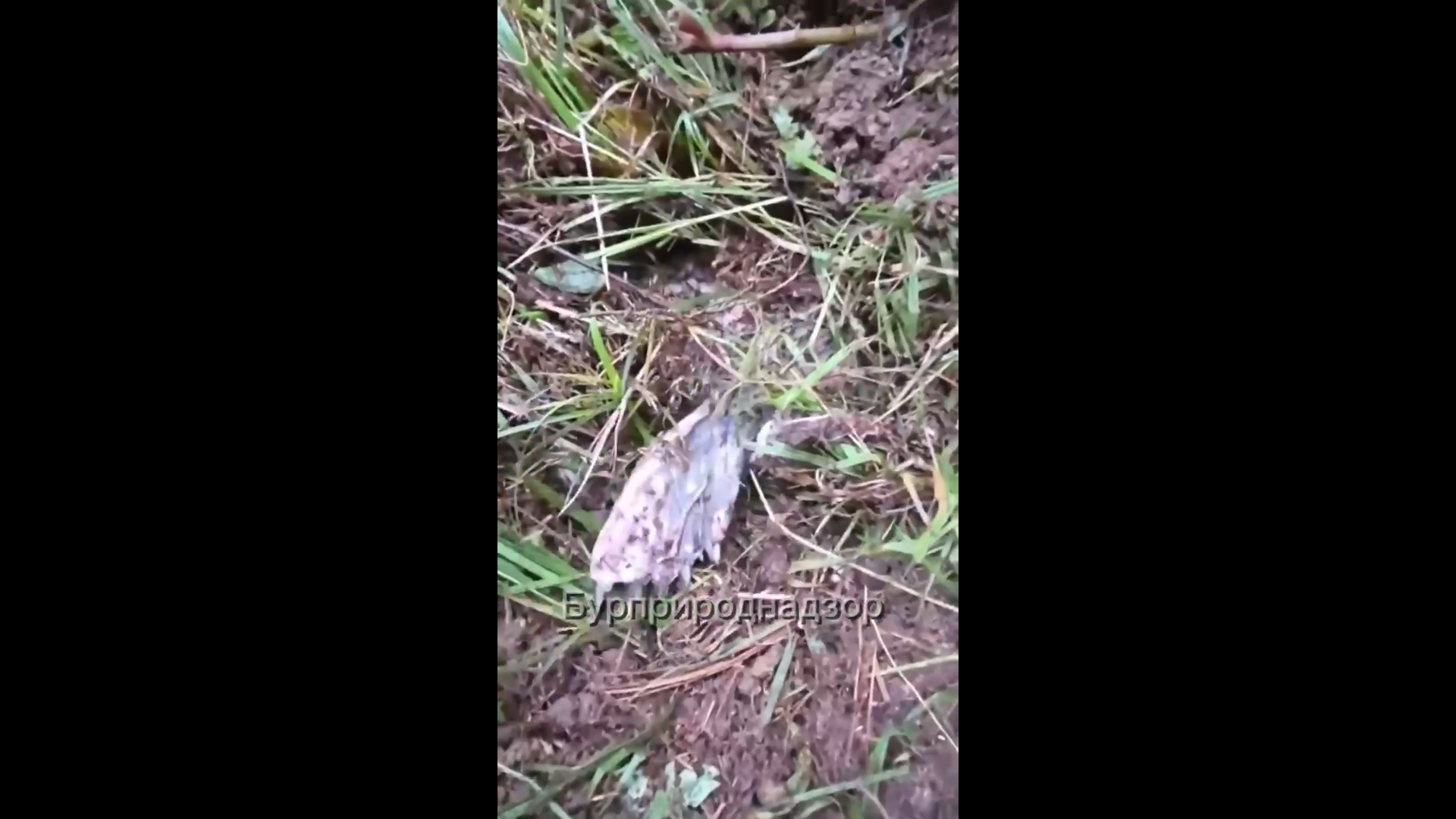 � ������� ������� ���������� �� ���������� ��-�� ������ �����