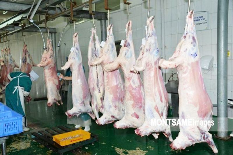 Монголия поставила в Иран и Узбекистан почти 440 тонн баранины