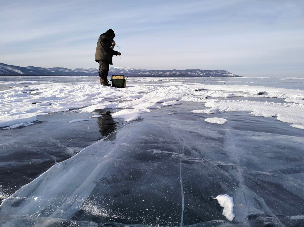 �� ������� ��������� ����� ������� 