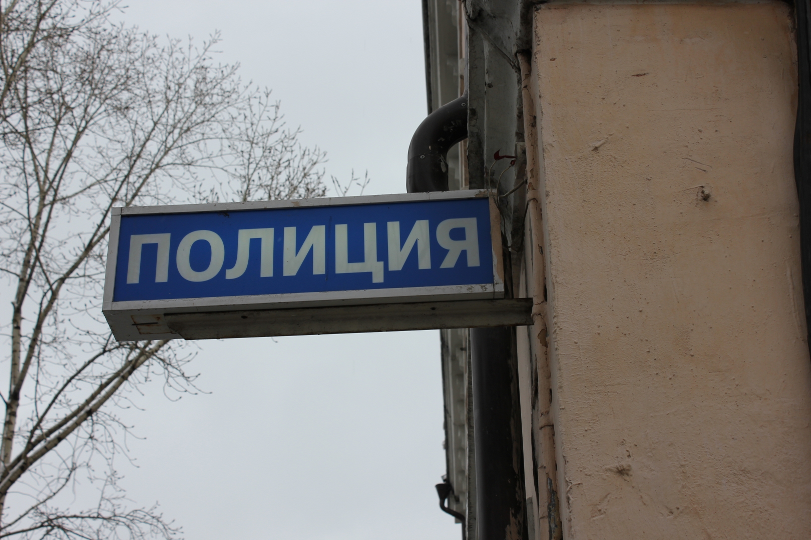 ��� ���� ������ ������� ����-������, ��������� ������������ � ����