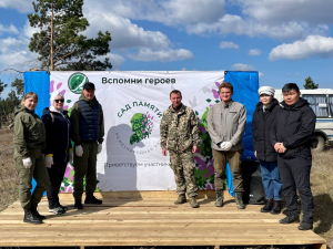 Сотрудники Росреестра посадили деревья в память о погибших в Великой Отечественной войне