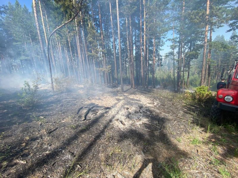 В пригороде Улан-Удэ из-за непотушенного костра вспыхнул лесной пожар