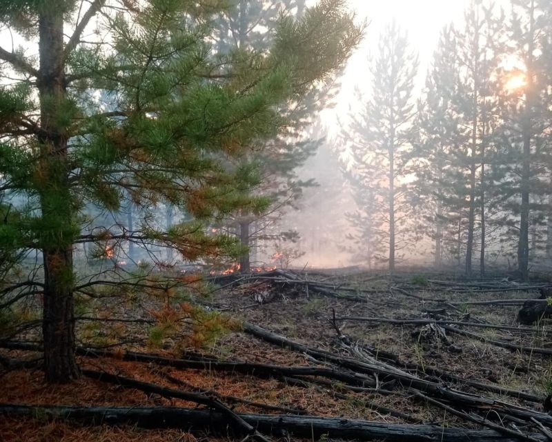 Забайкалье «поделилось» с Бурятией лесным пожаром Забайкалье «поделилось» с Бурятией лесным пожаром