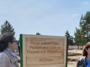 Роща главы Бурятии высажена в Монголии в парке «Сосновая башня»