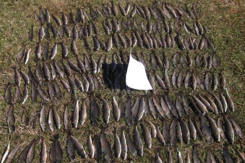 Для иркутянина рыбалка в Бурятии обошлась в 800 тысяч рублей Для иркутянина рыбалка в Бурятии обошлась в 800 тысяч рублей