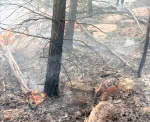На севере Бурятии, где нет дождей, снова горят леса