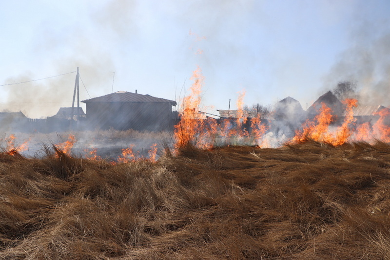 В Борзе ландшафтный пожар перешел на жилые дома 