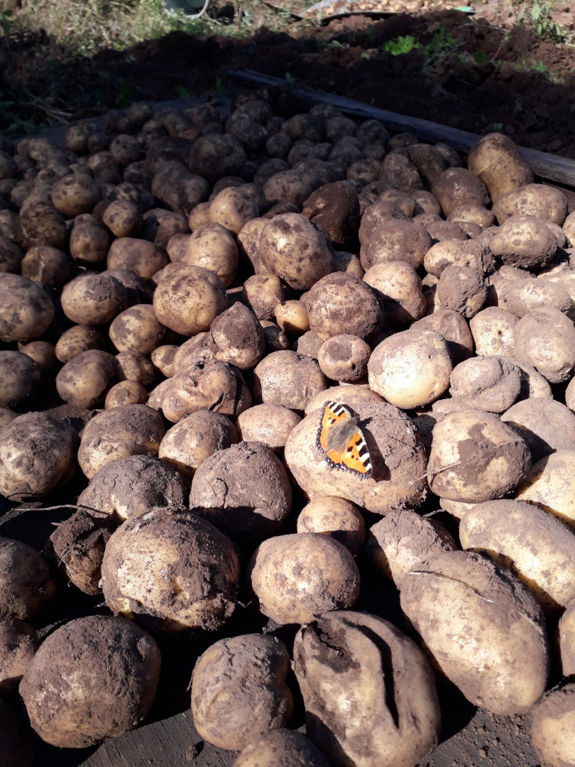 �������� ���������� �������� � ����� ��������� ���������������