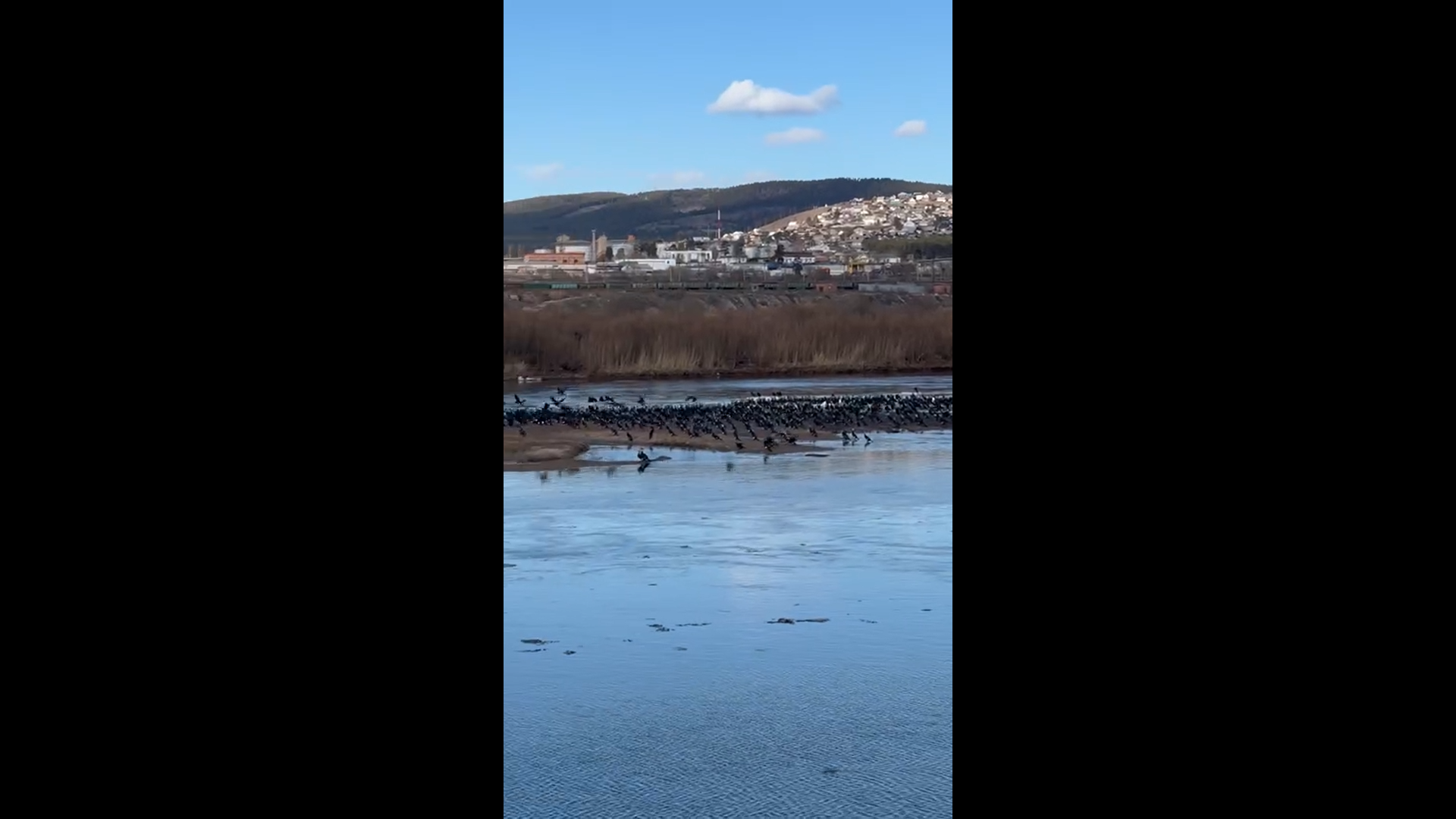 � ����-��� �������� �������� ���� ��������