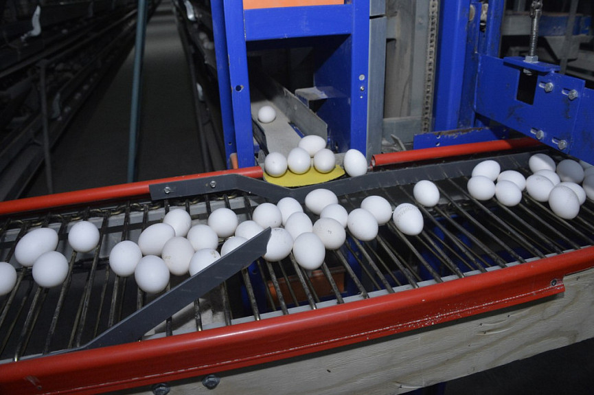 В Улан-Удэ подешевели яйца