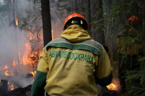 В Бурятии потушены два лесных пожара
