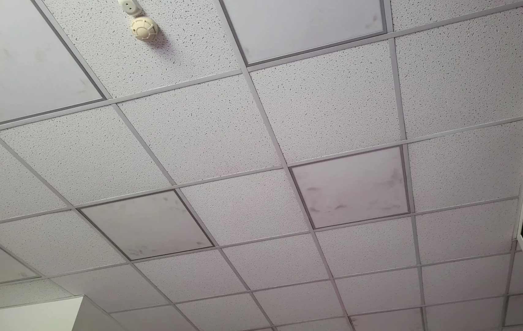 ����� ����-��� �������� ��� ����� 