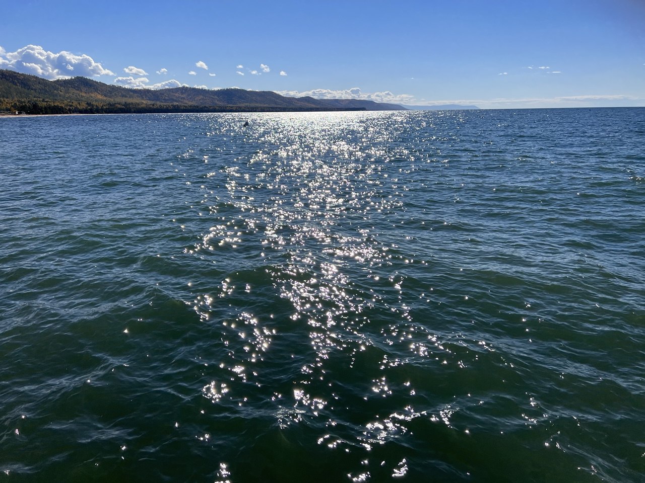 ������ ��������� �� ������������ ����