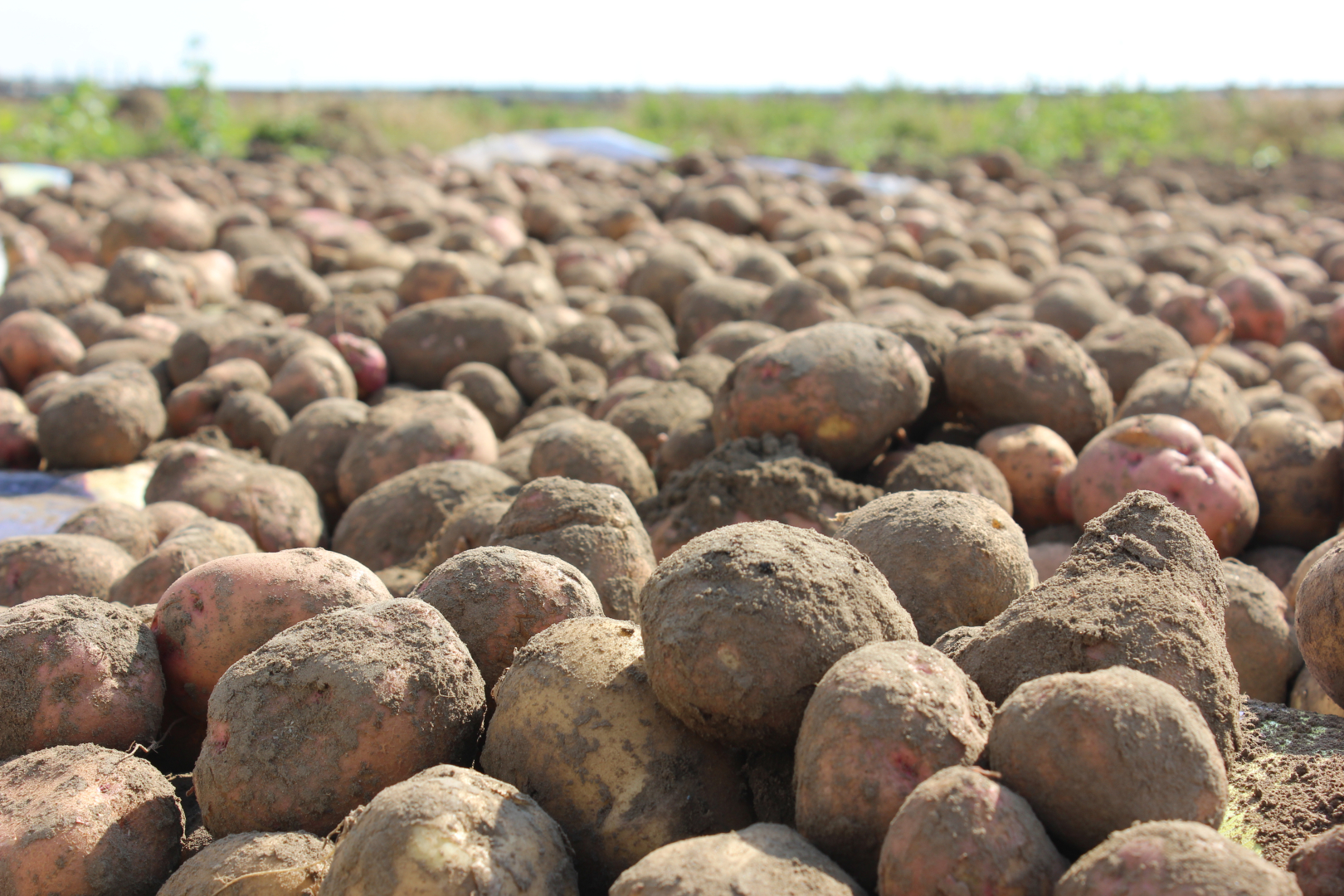 ��������� ������� �� ������� 