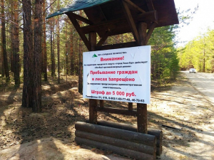 Жителям Бурятии запретили ходить в лес