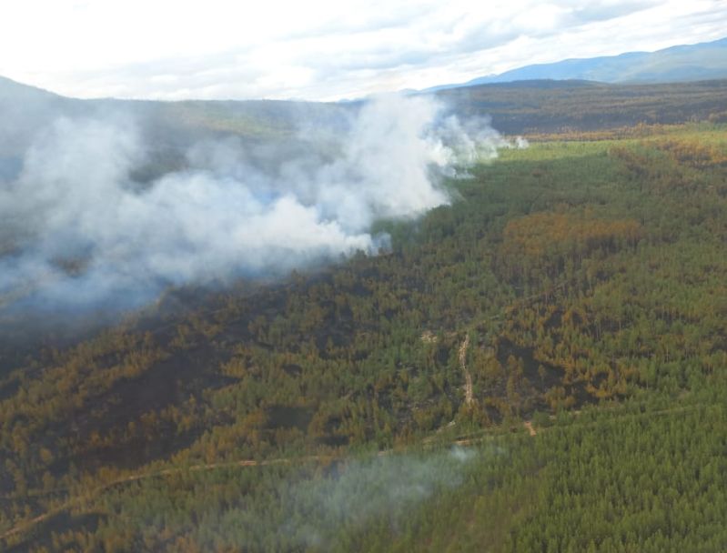 Крупный лесной пожар в Муйском районе Бурятии локализован