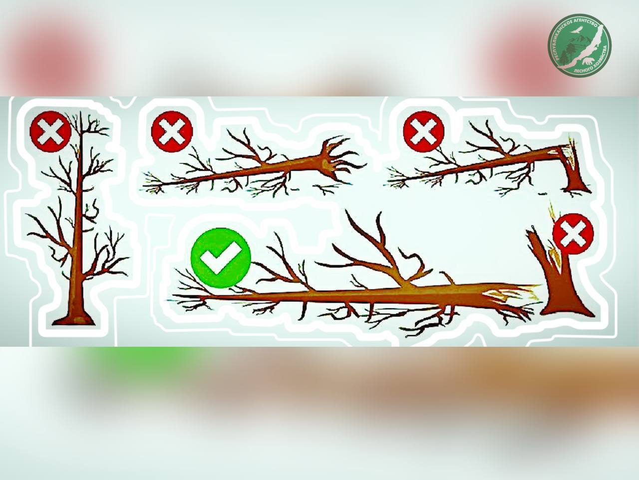 ������� ������� ���������, ��� ��������� �������� ��������