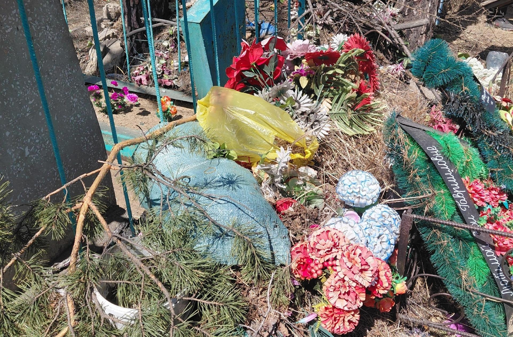 ������ ����-��� �������� �� ������ �� ���������