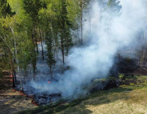 В Бурятии потушили один из крупных лесных пожаров