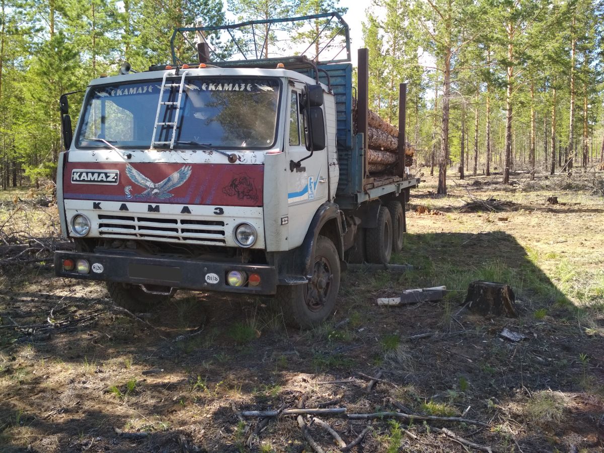 В Бурятии иркутянин вырубали лес в Тункинском нацпарке