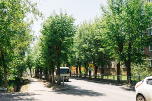 В Улан-Удэ по улице Комсомольская привели в порядок деревья
