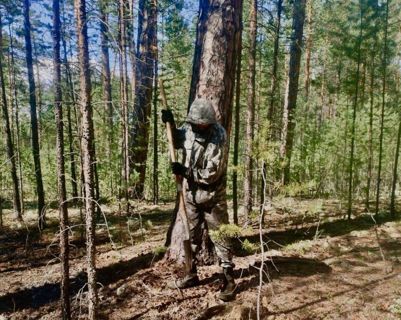 В Бурятии остался единственный лесной пожар В Бурятии остался единственный лесной пожар