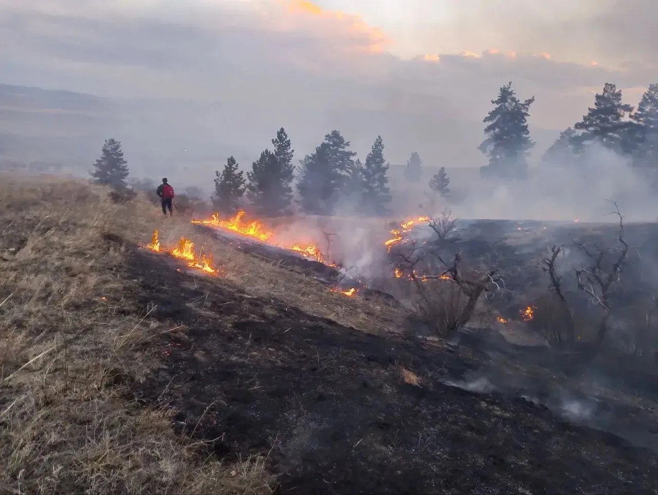 � ������� � ��������� �������� ����� 220 ����� ������ �� ����������� �����