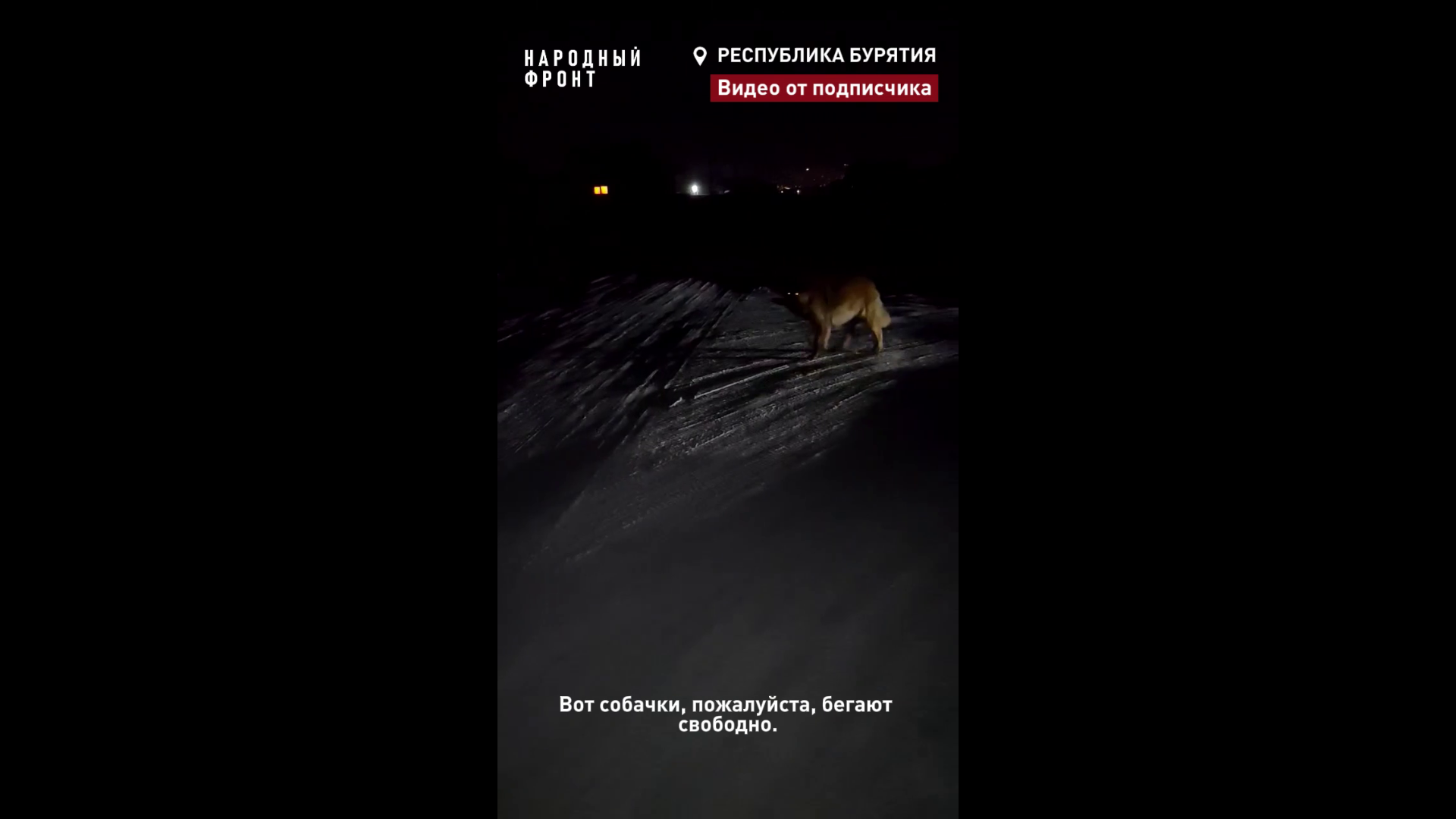� ��������� ������ ����� ����