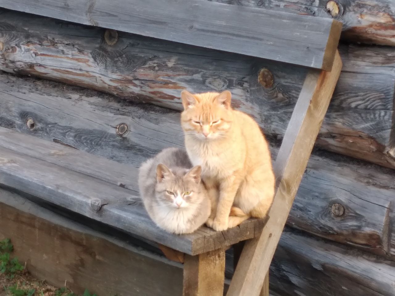 � ����-��� �������� �������� ������������ �����