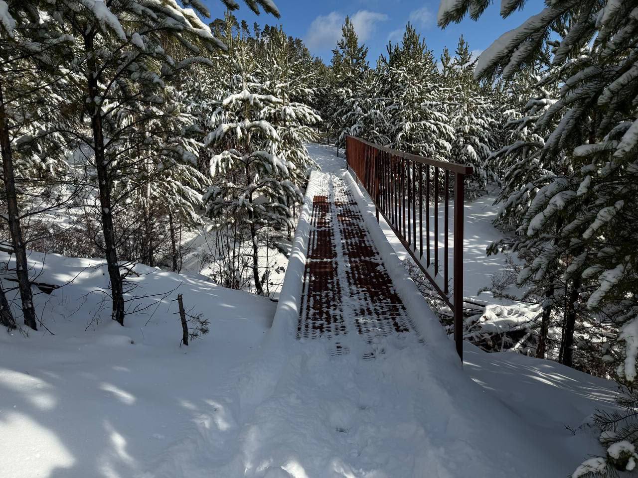 ����-������� �������� �� ���������� � ������ ����