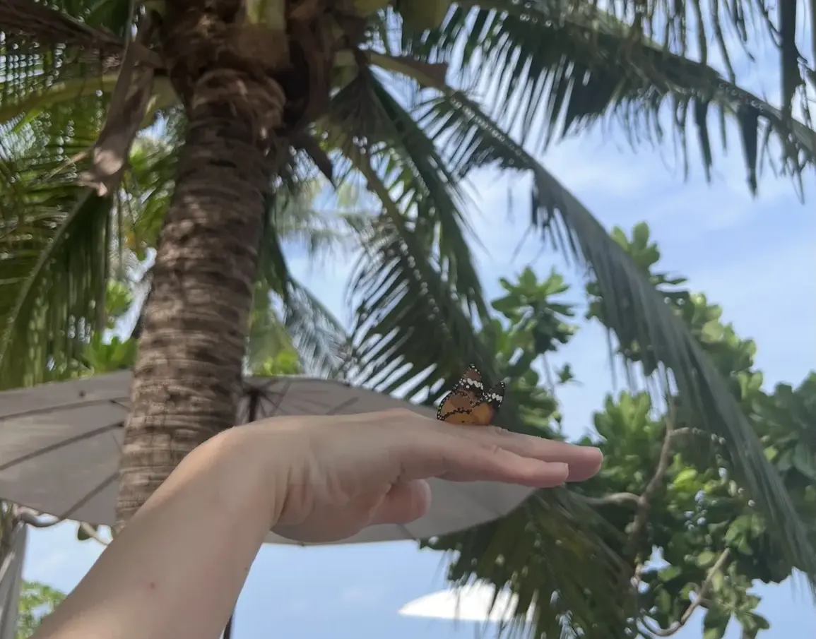 � ������� ���� ������� ����� �� �������