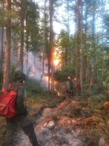 В лесах Бурятии опять бушуют пожары