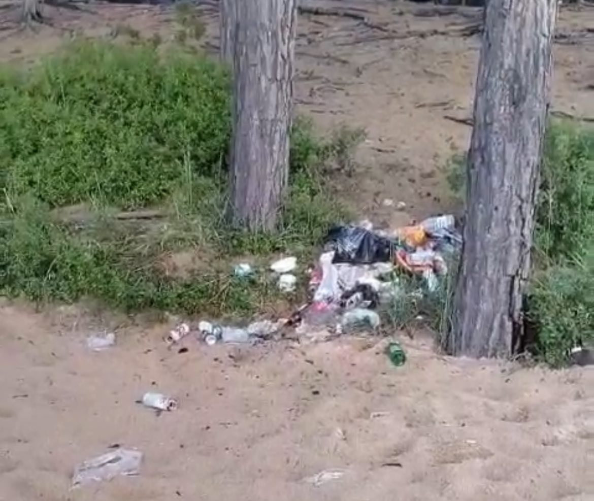 Отдохнувшие с музыкой туристы загадили берег Байкала Отдохнувшие с музыкой туристы загадили берег Байкала