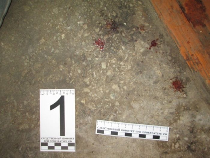 В Бурятии передали в суд дело об убийстве на страусиной ферме В Бурятии передали в суд дело об убийстве на страусиной ферме