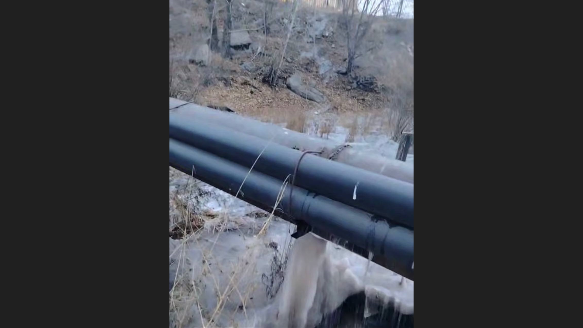 � ����� ������� ������� ��������������� ����