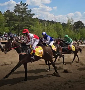 Впервые за 15 лет в Улан-Удэ прошли соревнования по конным скачкам 