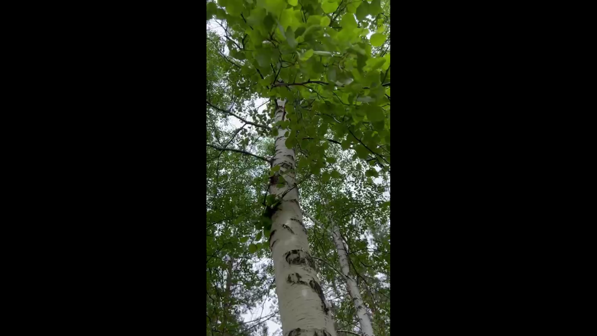 ������ ������� ����������� �� ����������� �� ������ ������