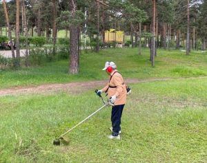Мэр Улан-Удэ поручил подчиненным жестче контролировать кошение травы