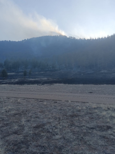 В Курумканском районе Бурятии продолжают тушить лесной пожар