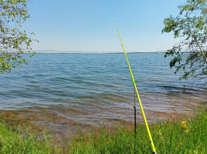В Бурятии бизнесмен не спешил убирать павильон с берега Щучки