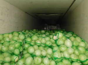 Предприниматель завез в Улан-Удэ 20 тонн белокочанной капусты с нарушениями