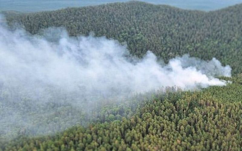 В Бурятии потушен первый пожар в Баргузинском заповеднике