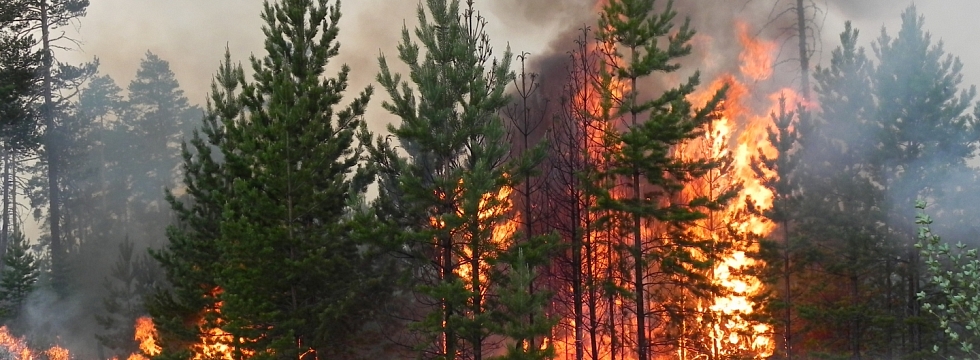 Ситуация с лесными пожарами в Бурятии может в любой момент измениться - МЧС России