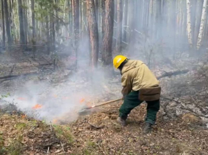 В Бурятии тушат семь лесных пожаров