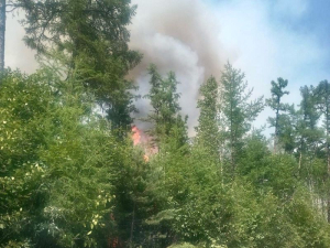 21 лесной пожар действует в Бурятии