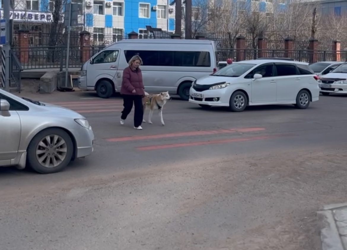 � ������ ����-��� ��������� ���������� �������