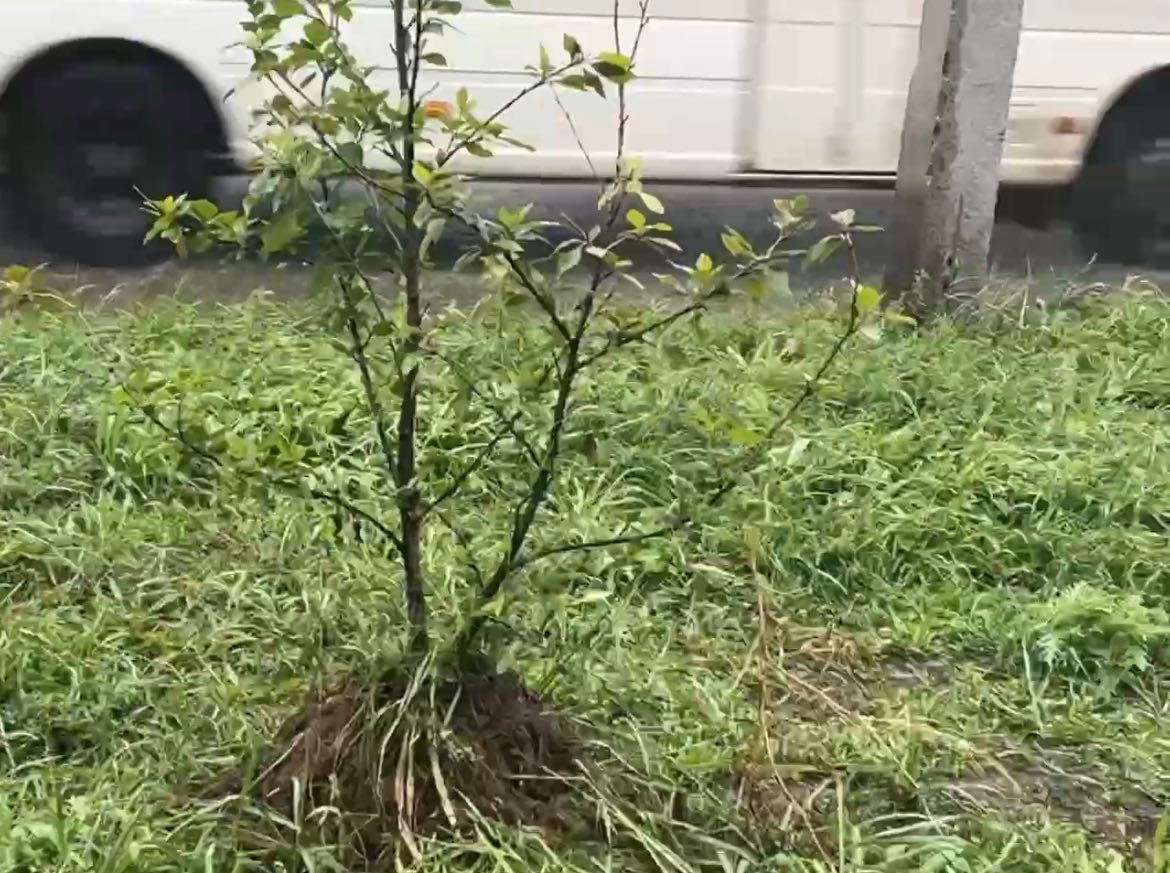 � ����-��� ������ �������� � ����� ����� �� ������